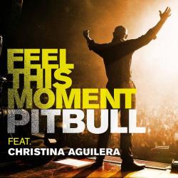 Pitbull Feel This Moment
