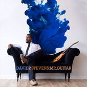 David P. Stevens Mr. Guitar