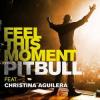 Pitbull Feel This Moment